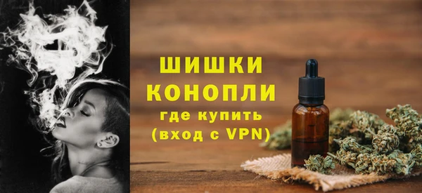 шишки Белоозёрский