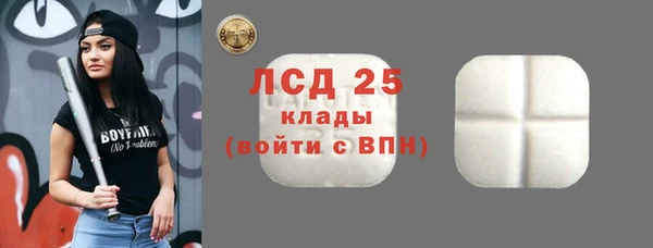 СК Богородицк