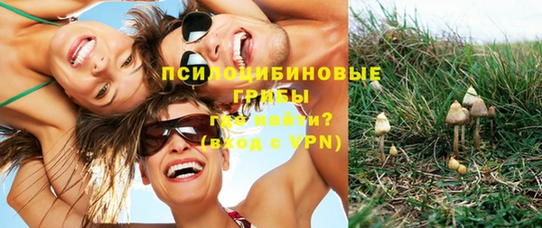 СК Богородицк