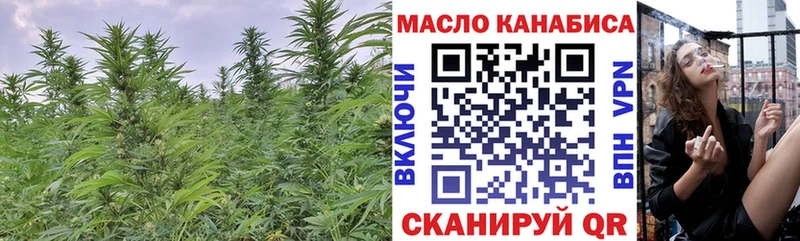 где купить наркоту  Называевск  Дистиллят ТГК гашишное масло 